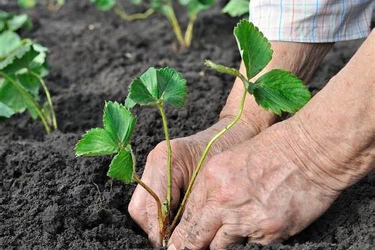 你有没有听说过,有的酱油是用头发做的？