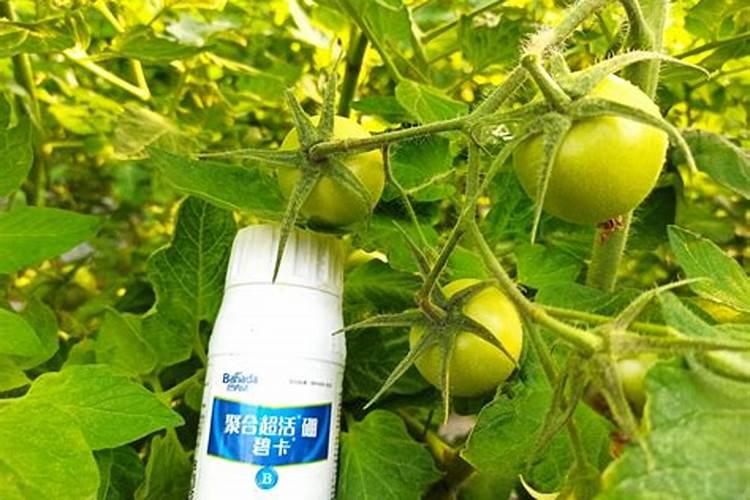 花生喷硼肥的最佳时间