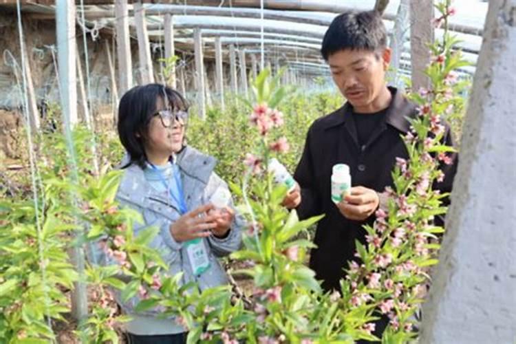 750公斤水放120克肥料,500公斤水应该放几克？