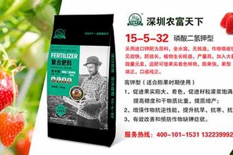 草莓开花后如何施肥