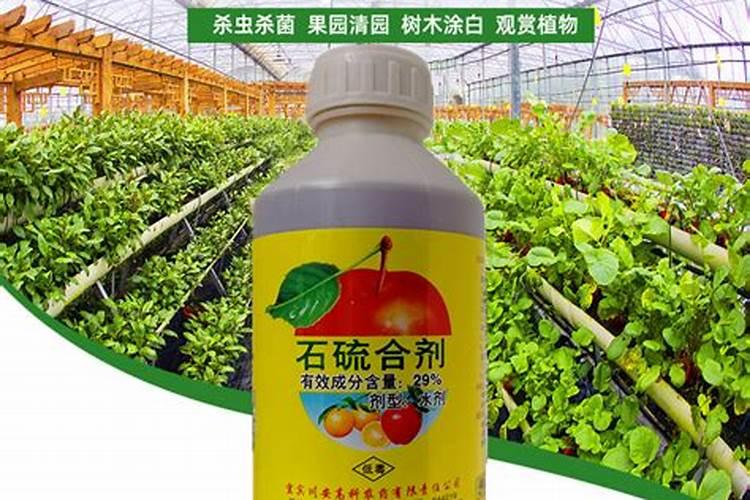 蔬菜施肥松土方法