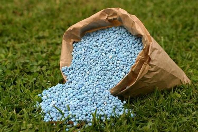 怎样合理使用过磷酸钙？