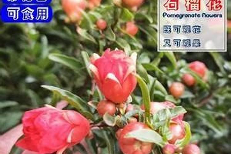 腐殖酸类肥料在使用的时候,应该注意什么？