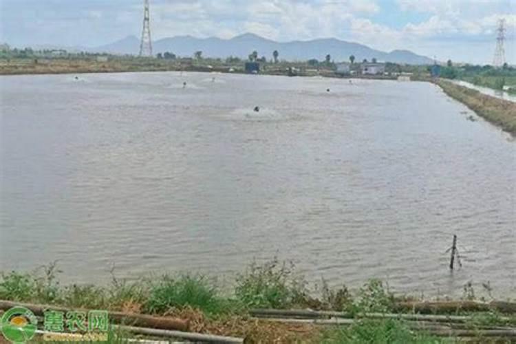 磷肥一亩地施多少