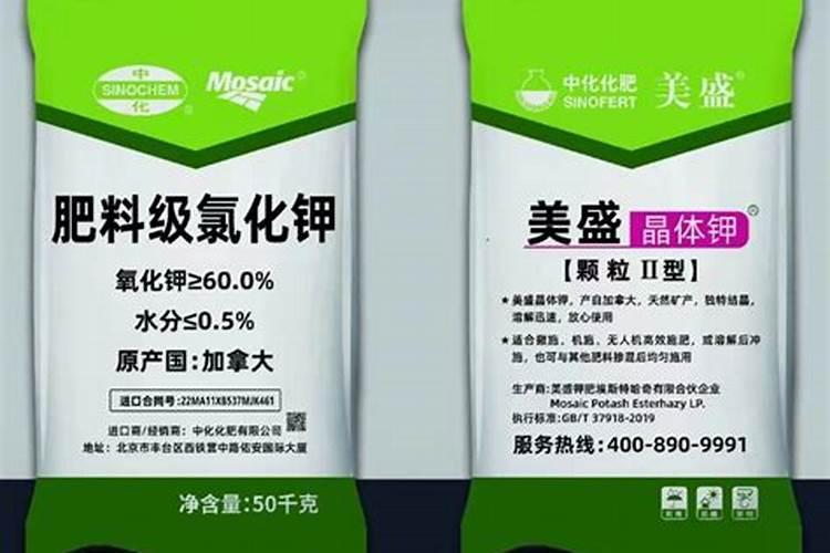 芒果树应该怎样施肥,芒果树的施肥技术