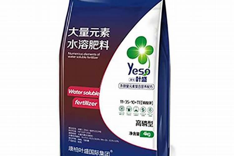 番茄膨果期冲施康柏叶盛含氨基酸水溶肥料兑肥料好处