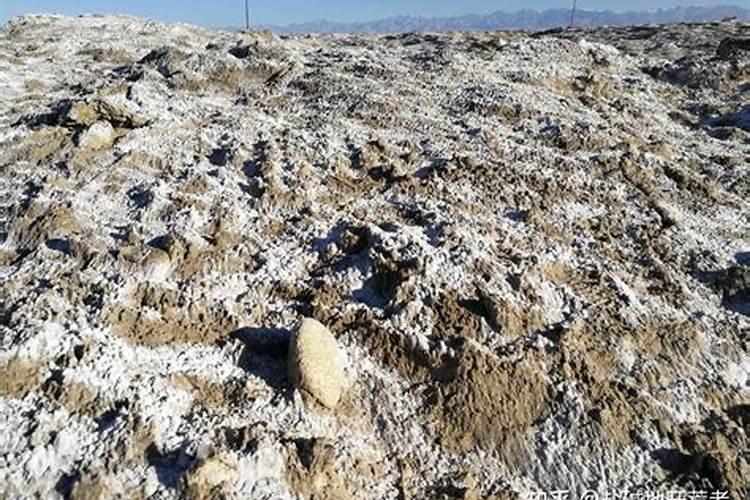 盐碱地一般缺什么肥料