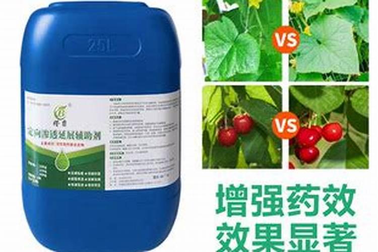 绿芬威与沃丰素哪个好