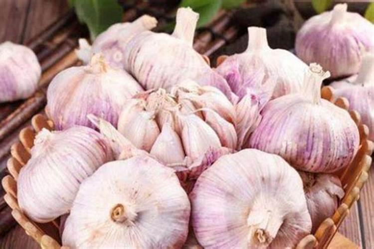 大蒜是忌氯作物吗