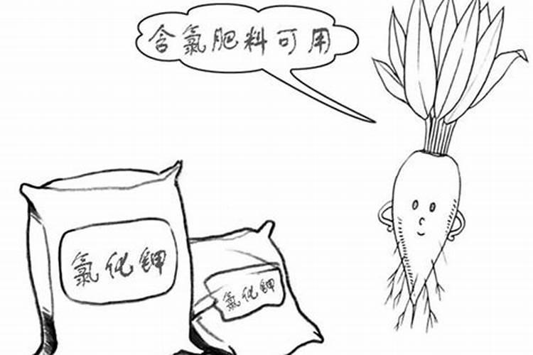 有机肥是什么东西做的(有机肥到底是什么原料做成的)