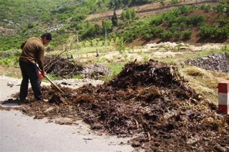 怎样沤制有机肥？