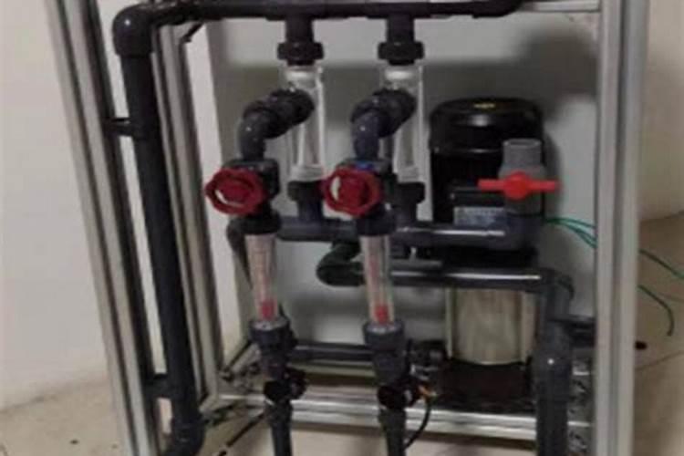 水溶肥给柿子树怎么施用