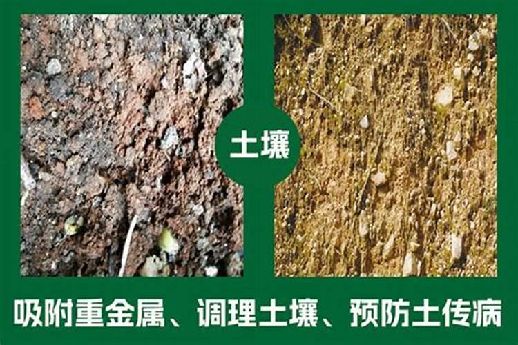 硅肥的十大作用