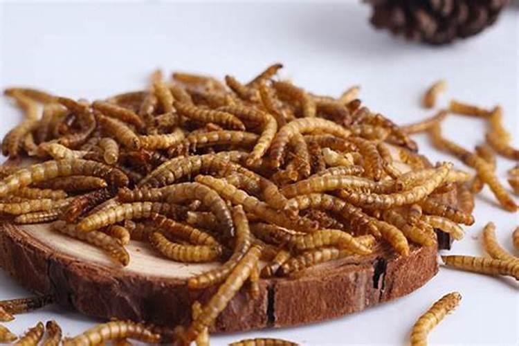 羊粪属于氮肥还是磷肥