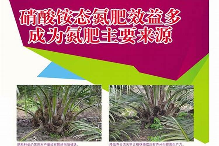 硝酸铵的施用方法及注意事项有哪些？