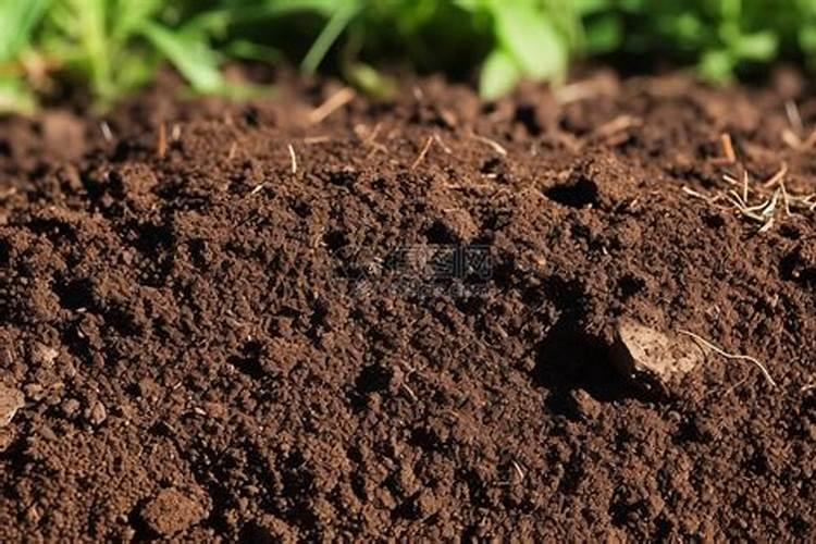 简述提高农田磷肥利用率的主要措施