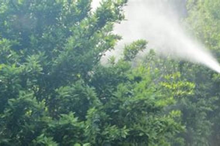 梨树春季清园打什么药