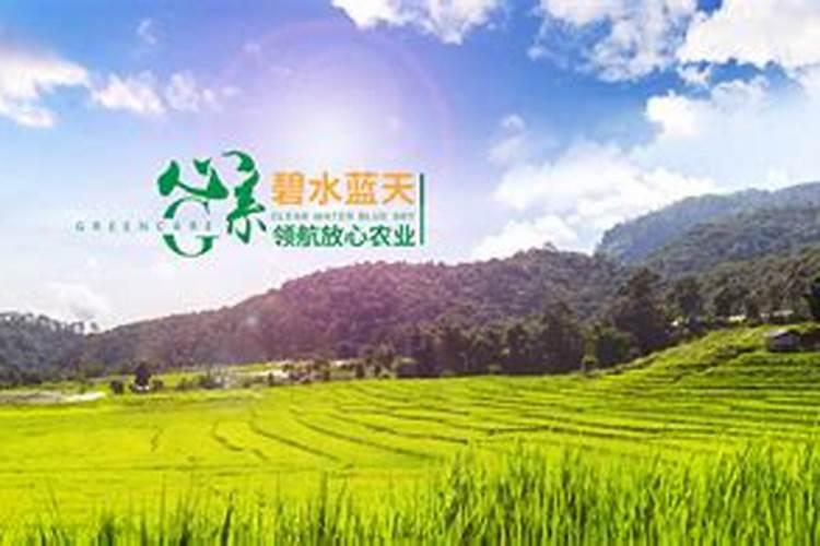 国内比较好水溶肥厂家有哪些