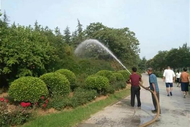 种梨树时施肥应注意哪些问题呢？