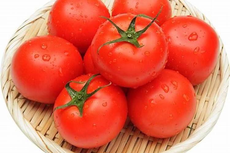 西红柿开花期如何施肥