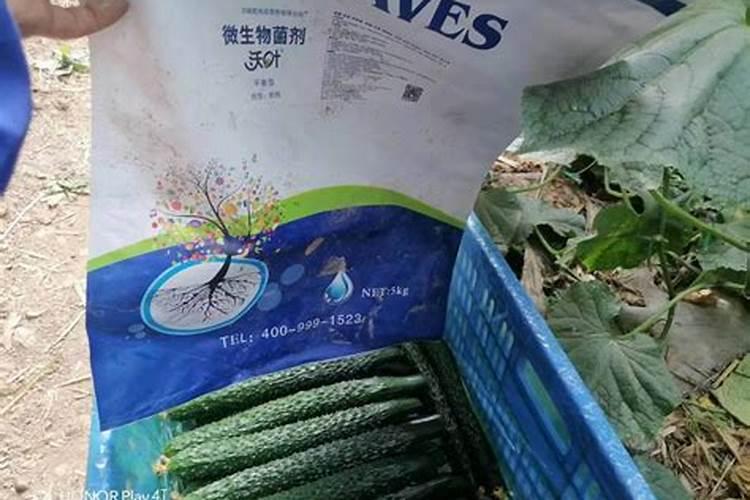 水溶肥会不会烧根