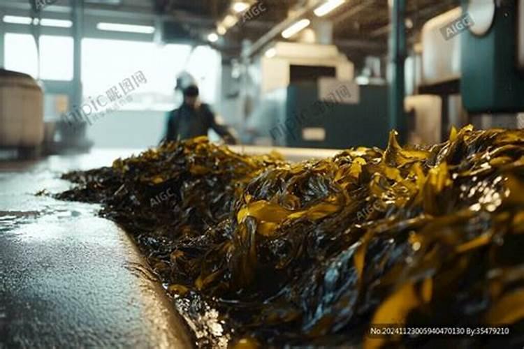 辣椒用什么肥料长得又肥又壮