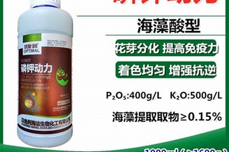 生姜后期需要什么肥料