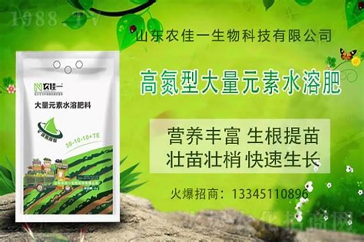 小麦增产秘诀选对水溶肥,产量提升不是梦