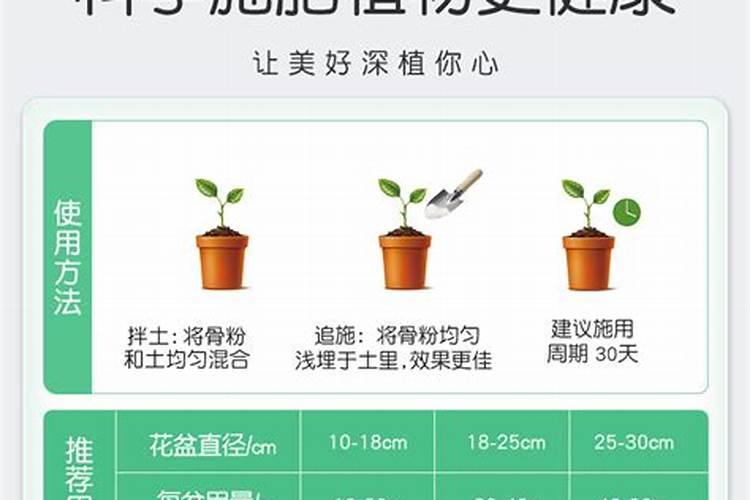 骨粉浇花有什么好处 用骨粉养花能养出什么效果