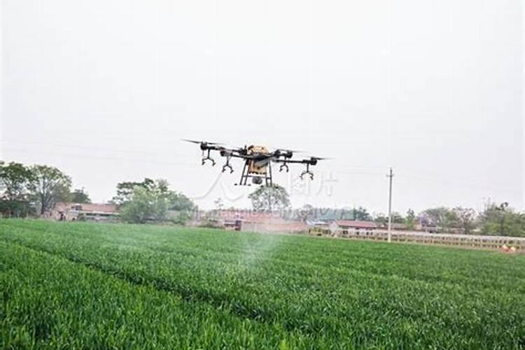 小麦除草剂能和叶面肥混合打吗 什么时候打合适