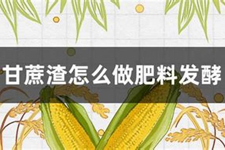 甘蔗施用什么水溶肥？