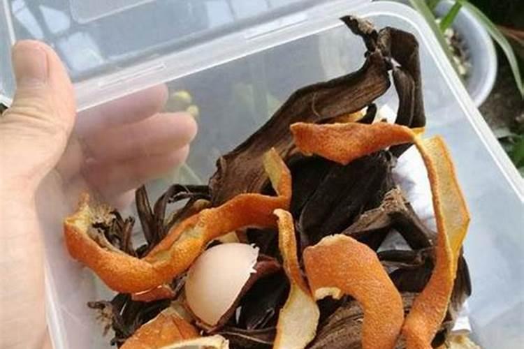 橘子皮可以做养花的肥料吗