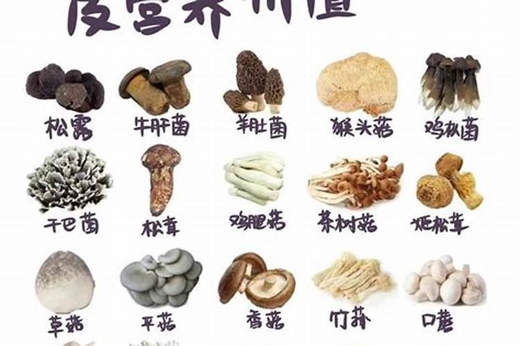 科学家发现"以菌治菌"新武器:一种新型菌种——贝莱斯芽孢杆菌