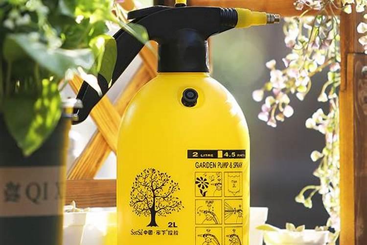 茶花长芽前如何施肥新芽更粗壮