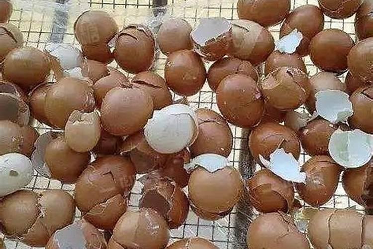 鸡蛋壳属于氮肥磷肥还是钾肥还是啥？