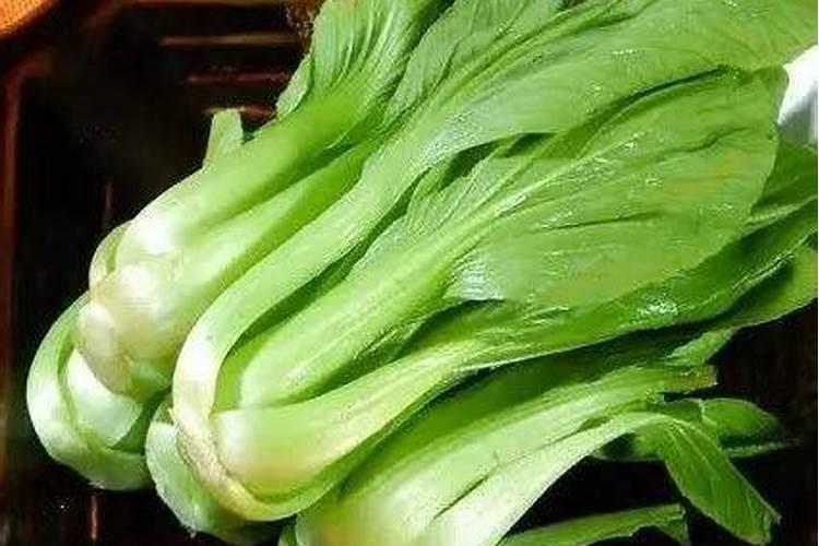 钙肥是什么肥料