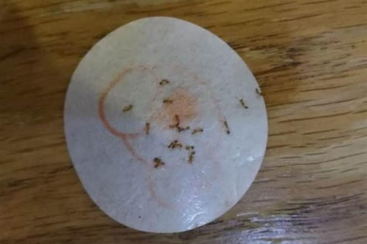 吡虫啉种糖化硼肥片有什么区别