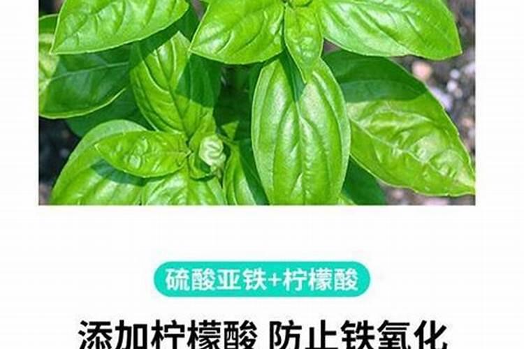 花卉复合肥怎么使用