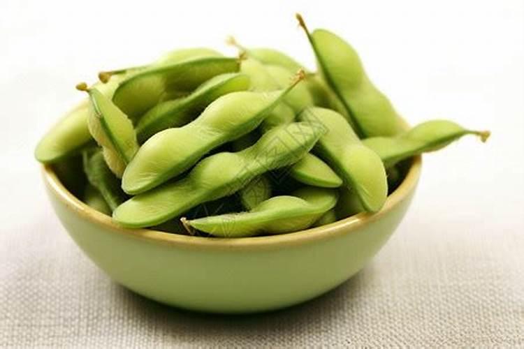 毛豆和青豆有区别吗 养护条件有哪些