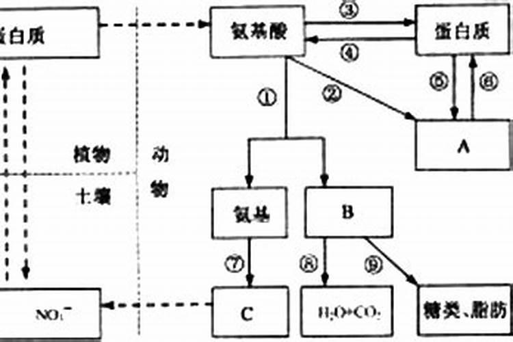 棉花早衰补救方法