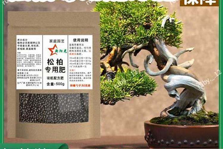 草木灰适合哪些植物