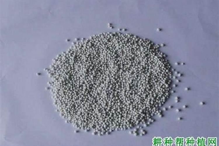 微量元素肥料有哪些