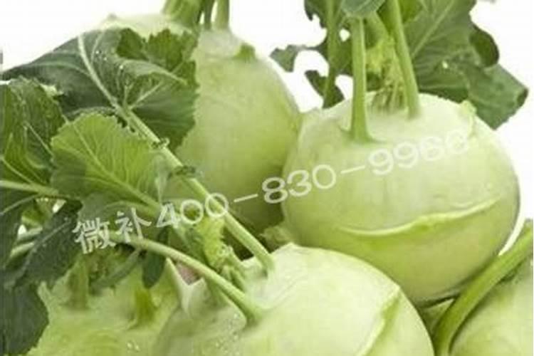 甲肥对什么蔬菜好