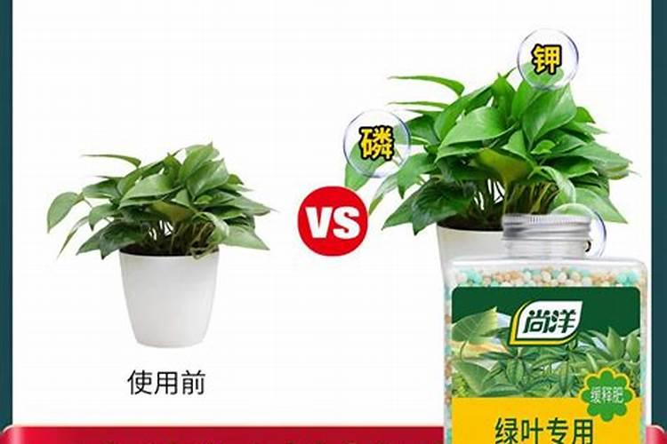 复合肥养花怎么使用正确