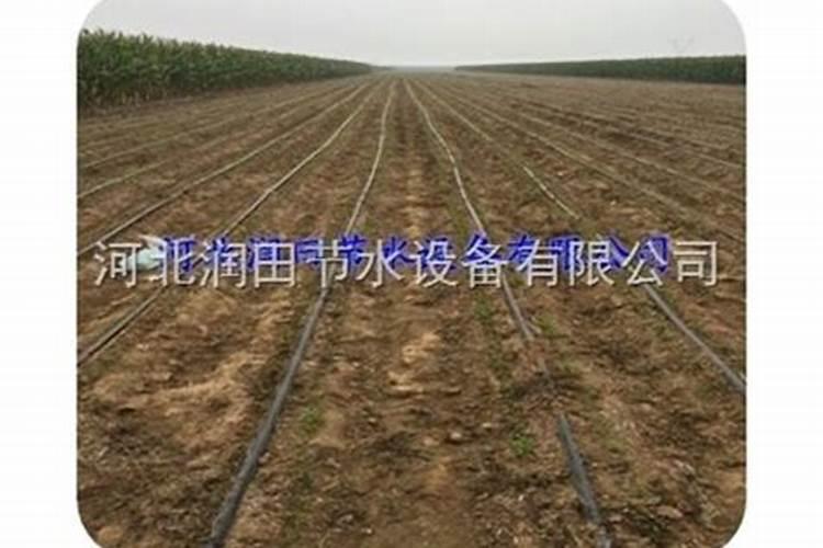 水溶肥排名前十位的有哪些品牌