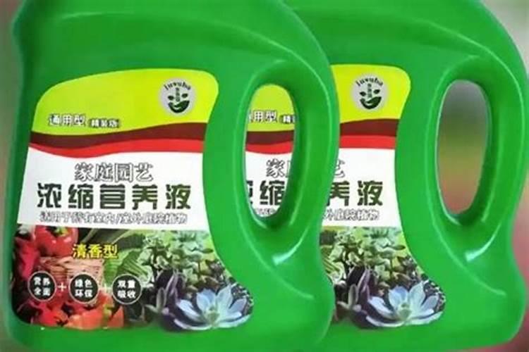 营养液的正确使用方法