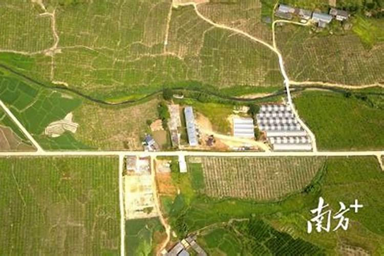 水溶肥那一个厂的好