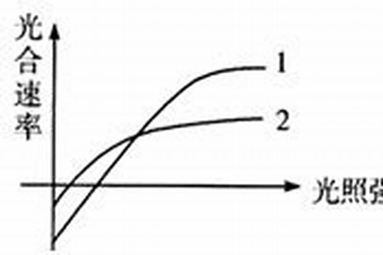 香葱叶面肥可以用磷酸二氢钾吗