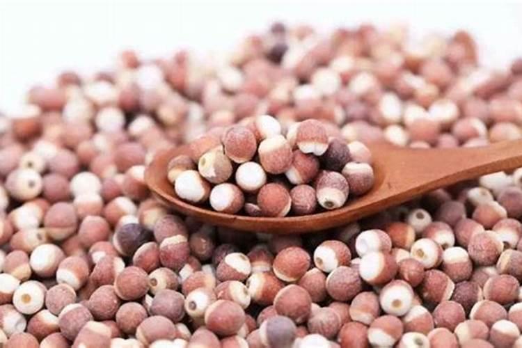 芡实的种植技术方法