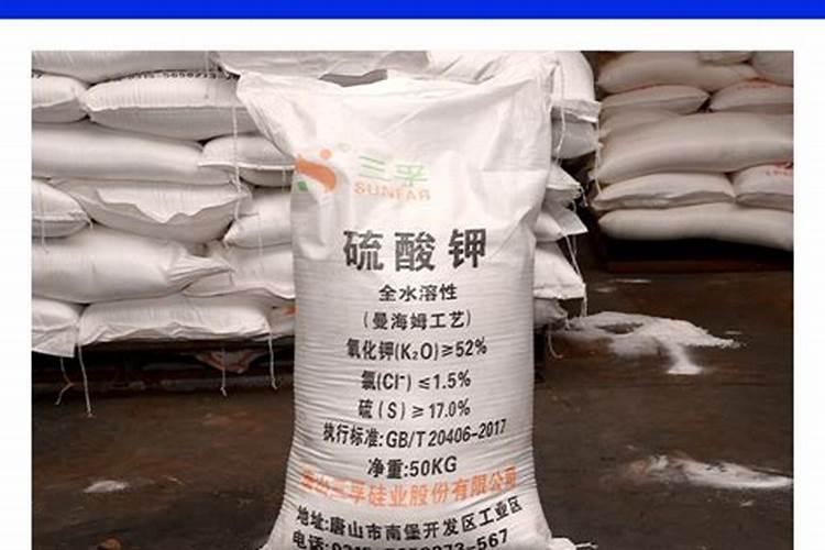 带你见见高深莫测的柑橘黄化病!